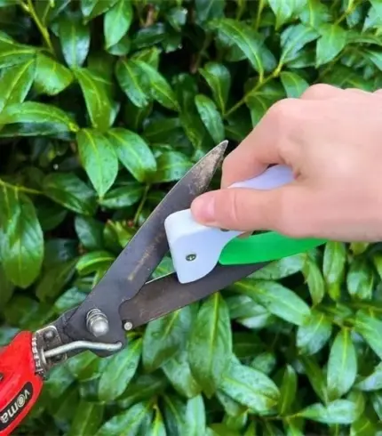 Garden tool
