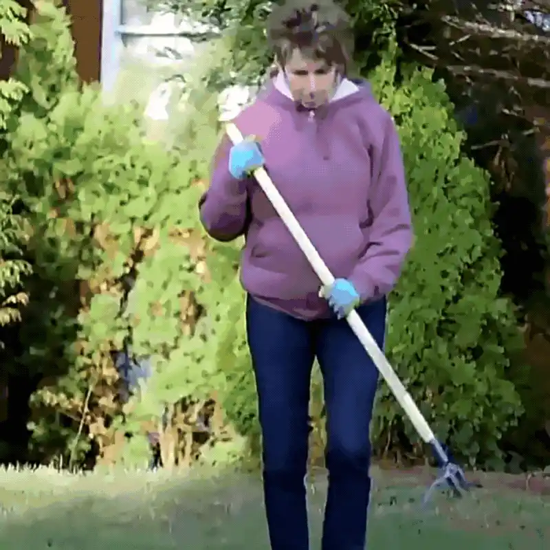 Weed Remover