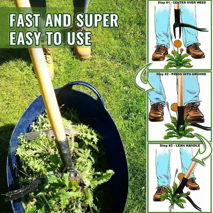 Easy to Use